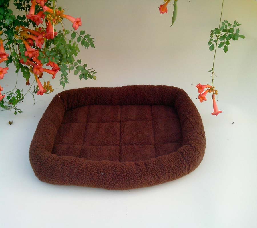 买过宠爱家狗窝的, 会忍不住一而再,再而三的来买 ,买过一次你就知道