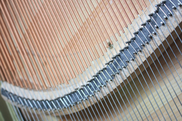 牌琴钢丝,承受张力极强,保证了钢琴的音质,音量和琴弦耐用性.