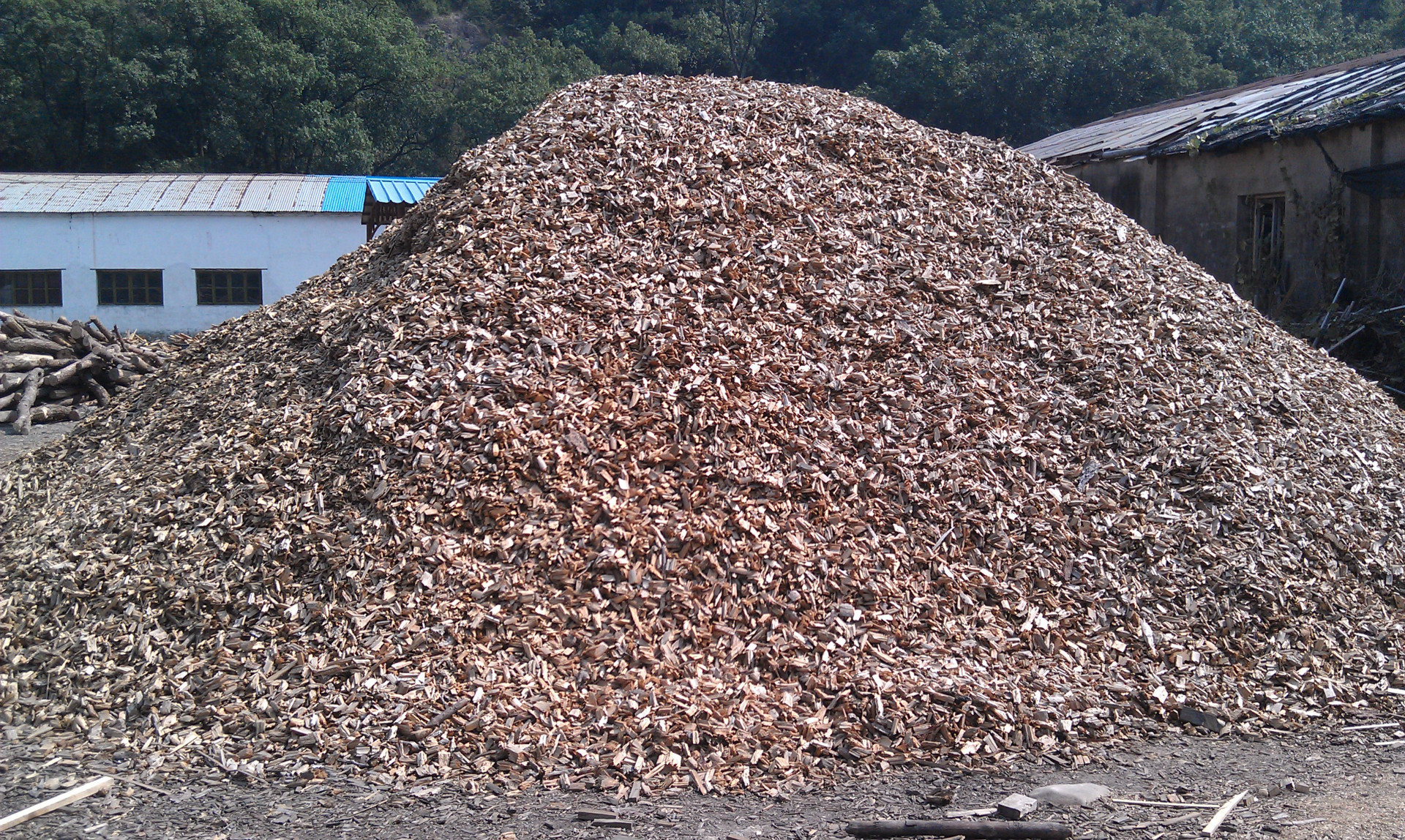 厂家直销优质松木切片木片 铁皮石斛兰花种植材料 人造板木料