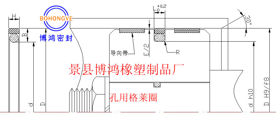 供應孔用格萊圈