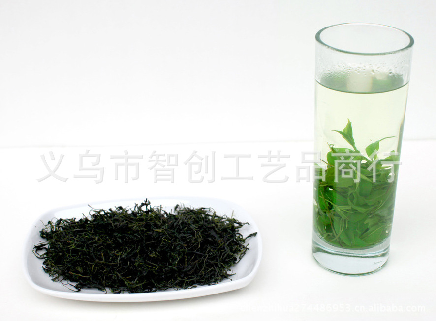 毛冬青嫩芽03