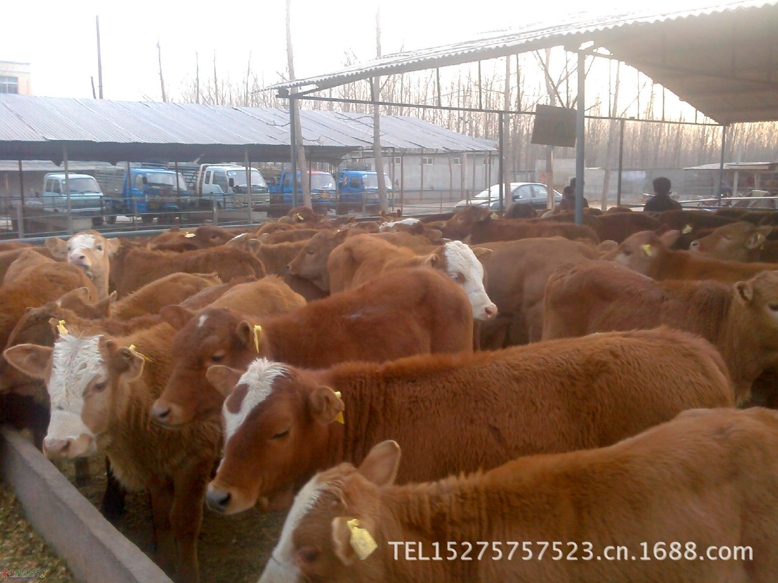 1f178a82b9014a90225d4367a97739