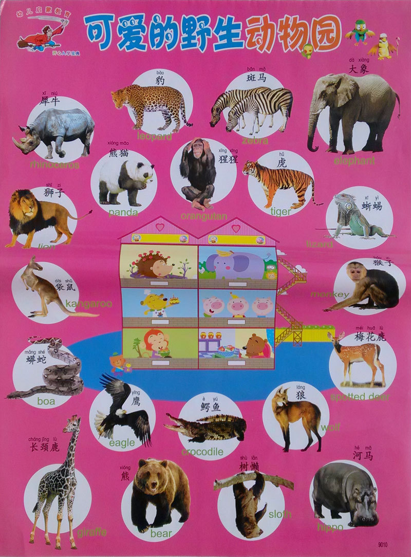 动物教学挂图图片大全图片