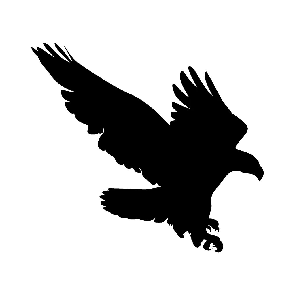 4本黑白卡彩色卡,宝宝 宝宝卡片 认知卡 黑白卡 婴儿黑白卡