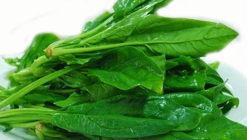 新鲜菠菜 安吉土家菜