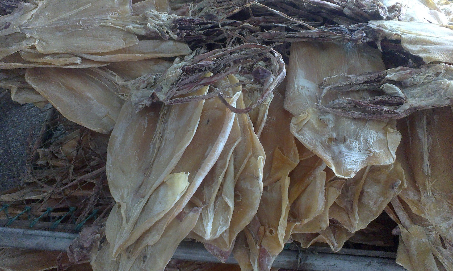 展茅菜场
