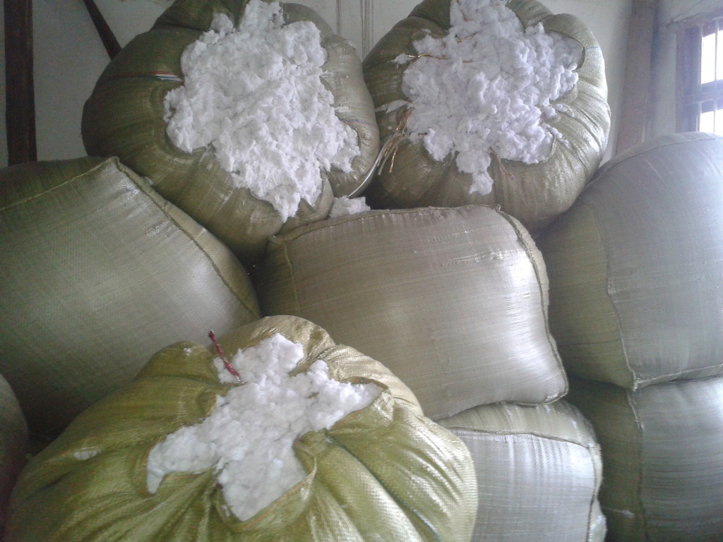 供应纺织废棉 扫地棉