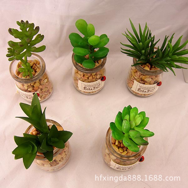 新款仿真植物花 多肉仿真 家居裝飾品 玻璃瓶 鵝卵石小清新擺件