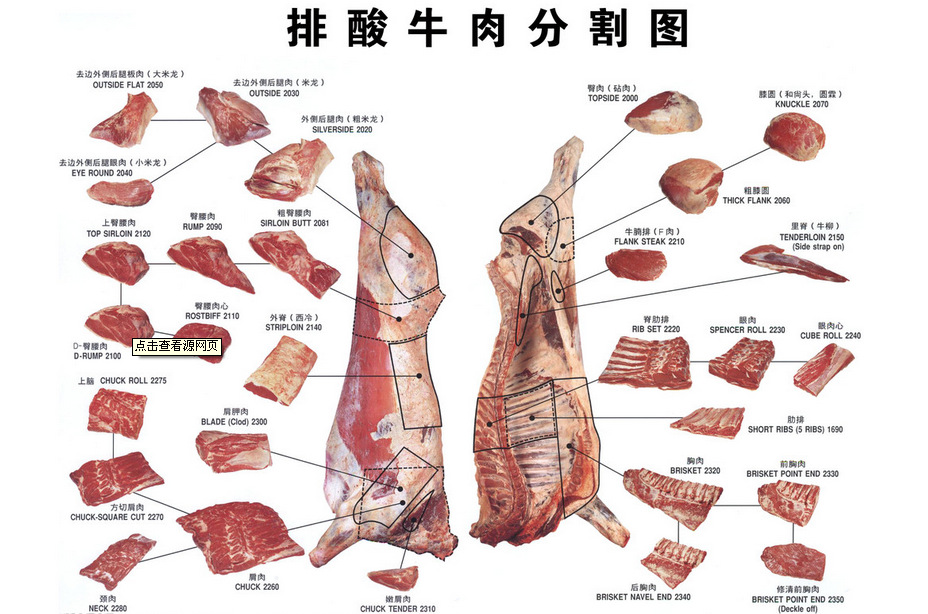 牛肉分割部位3d图 模型图片