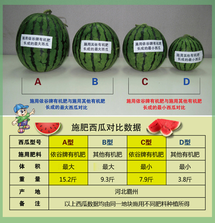西瓜数据对比图7897副本