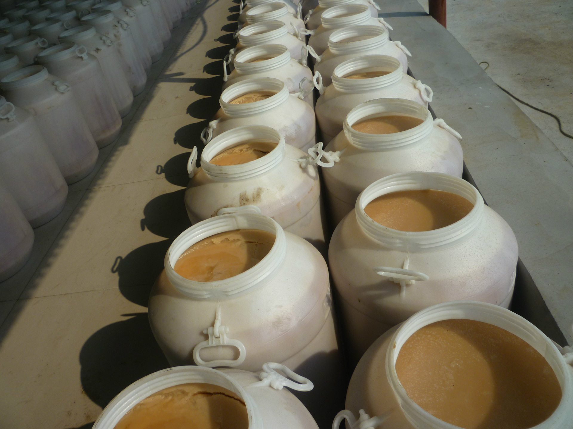 地沟油酸生产司盘80