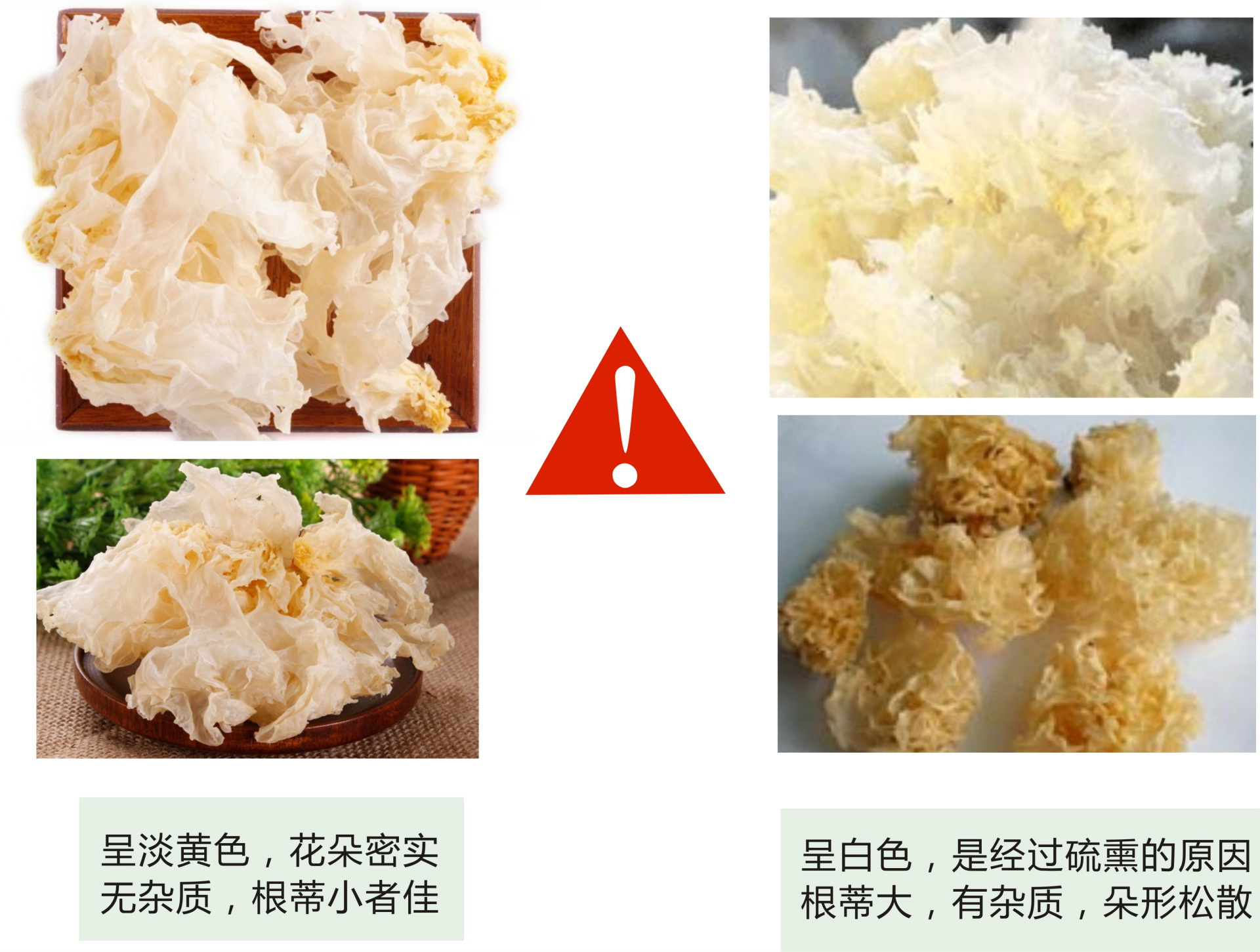 散装优质古田雪银耳清仓大促销 银耳批发 白木耳批发 福建博扬