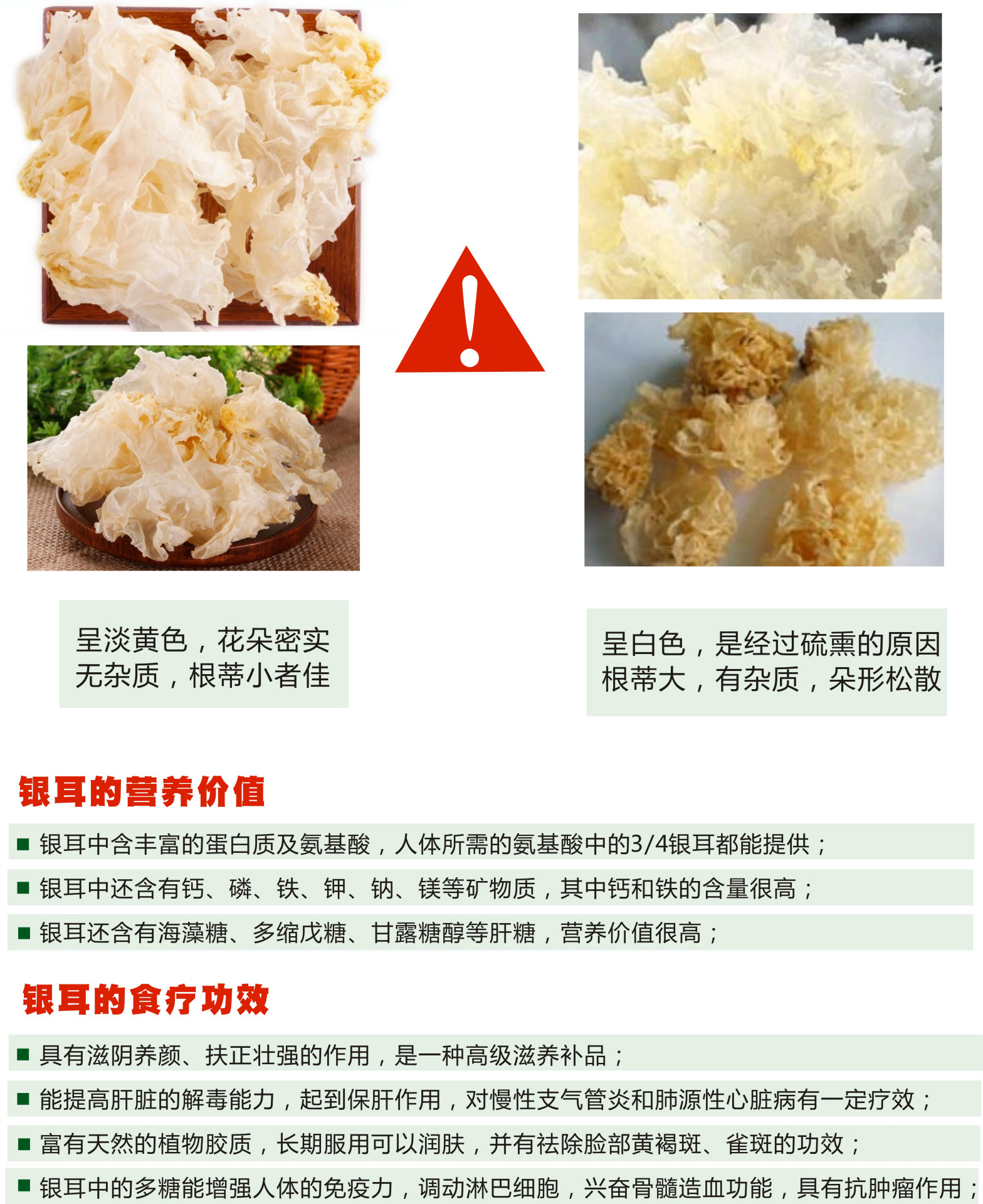 雪耳和银耳的区别图片