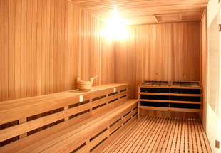 桑拿房 干蒸房 湿蒸房 淋浴房