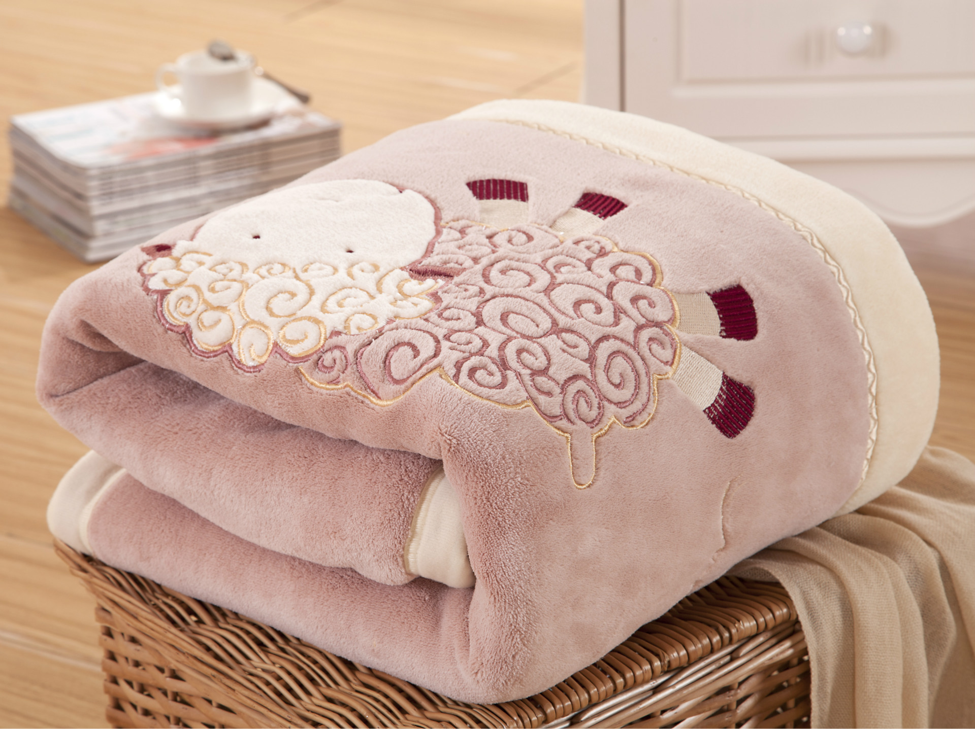 毛毯绒毯批发 珊瑚绒升级法莱绒毛毯床单盖毛毯 法兰绒儿童毯