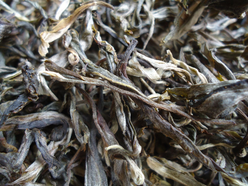 2014年春茶定制 荒山古树茶纯料 云南普洱茶散茶 100克