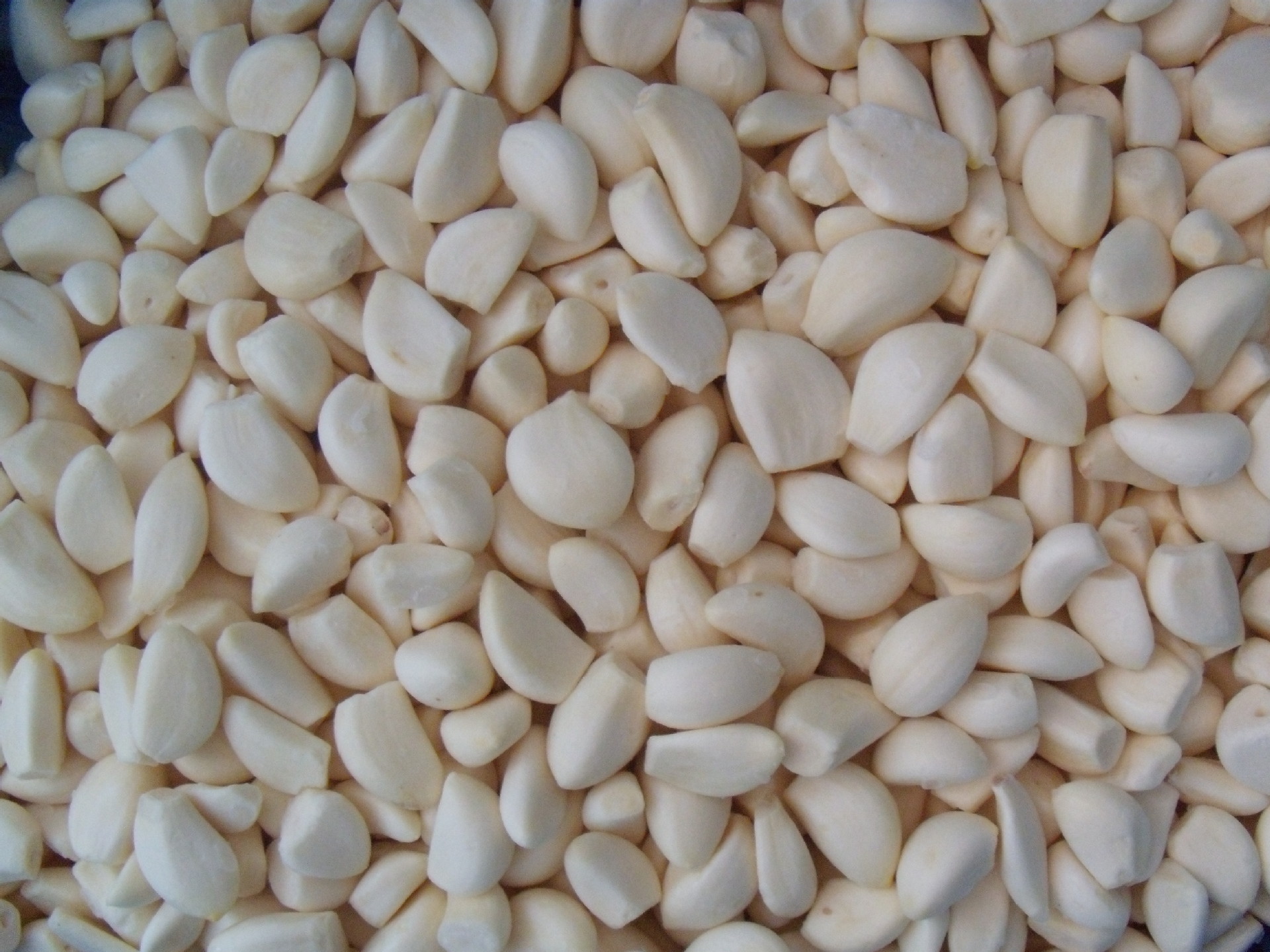 供应速冻蒜米 新鲜蒜米 欢迎来电垂询