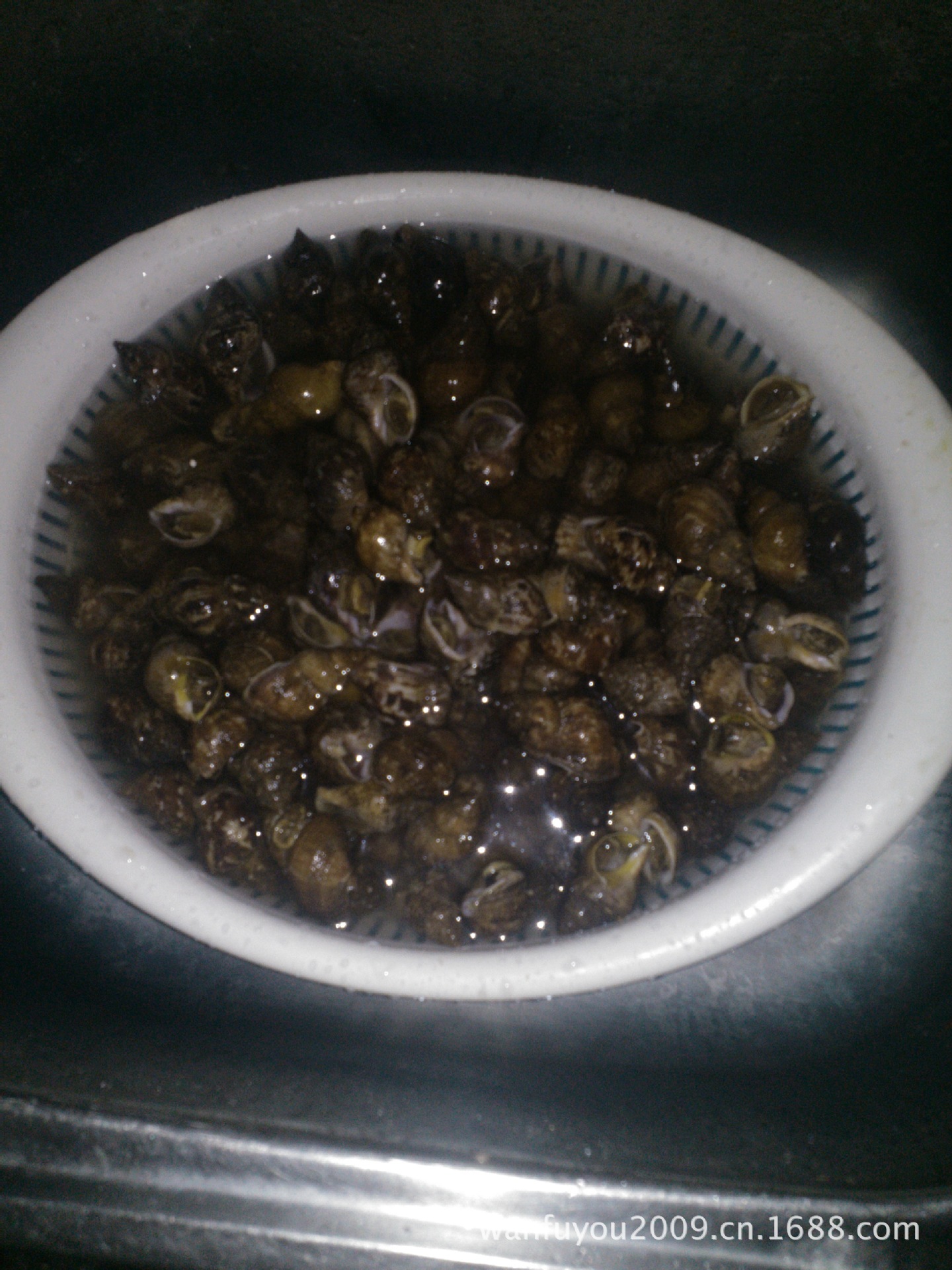 大连小香螺 大连特产优质小香螺 精品大连小香螺