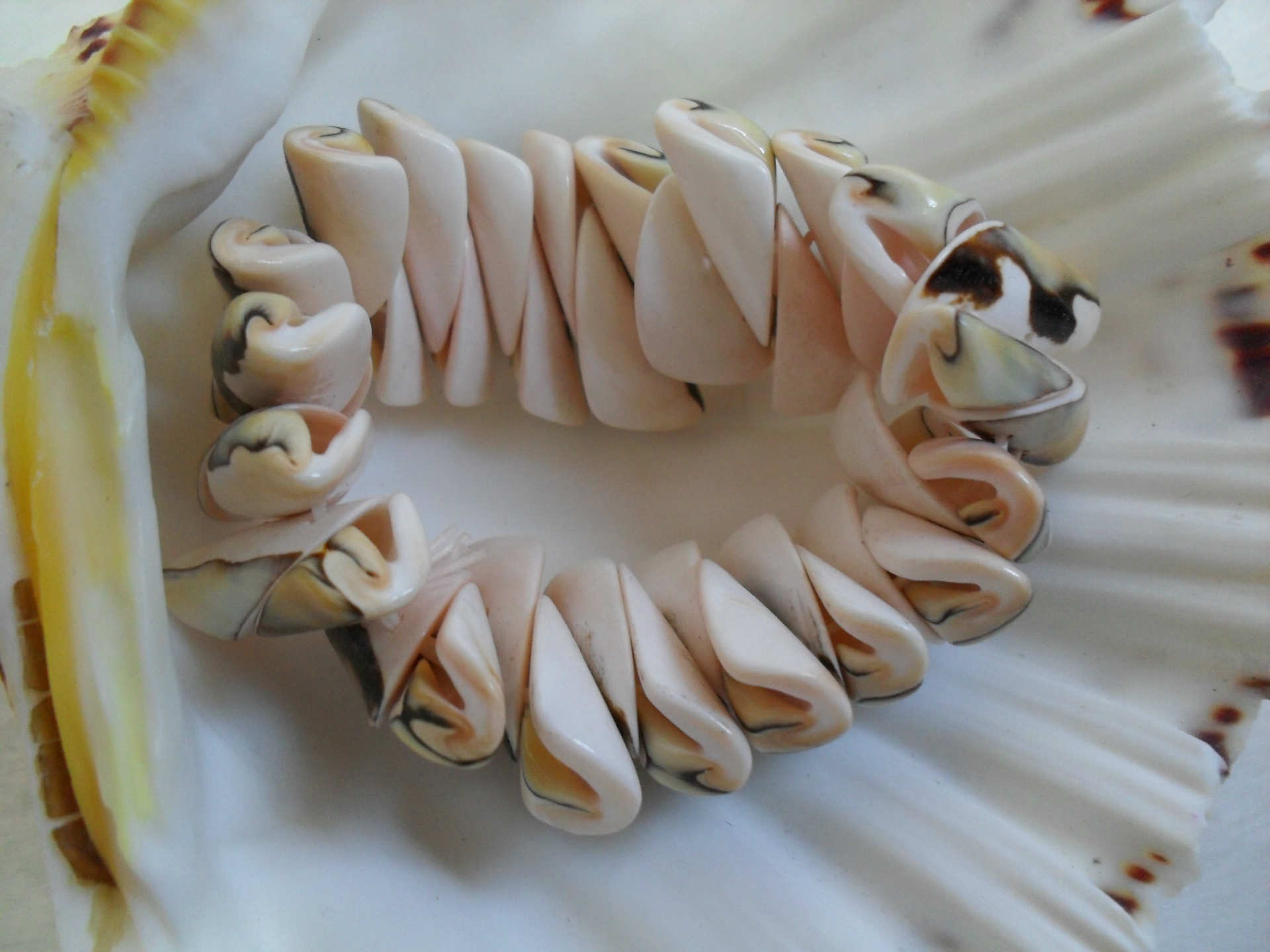 贝壳手链 纯天然饰品手串