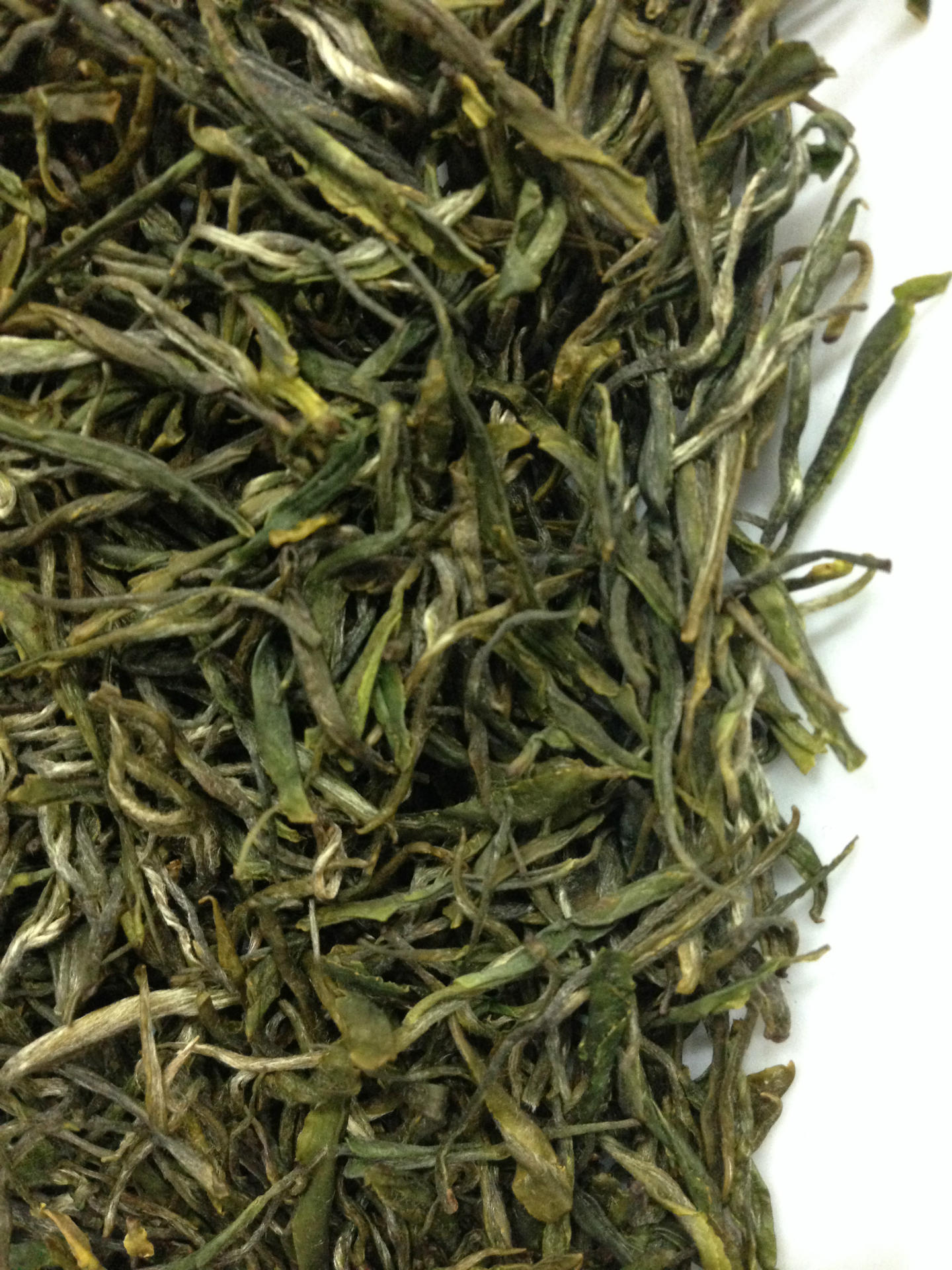 天台山云雾茶c级2013年厂家直销大量供应天台山茶批发零售