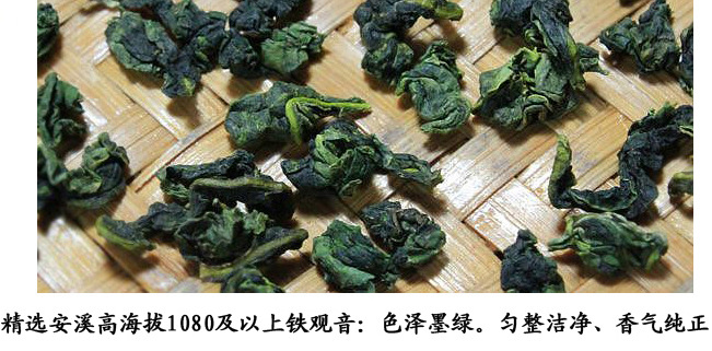 批發 正品安溪鐵觀音茶葉13年新秋茶烏龍茶濃香散裝特級