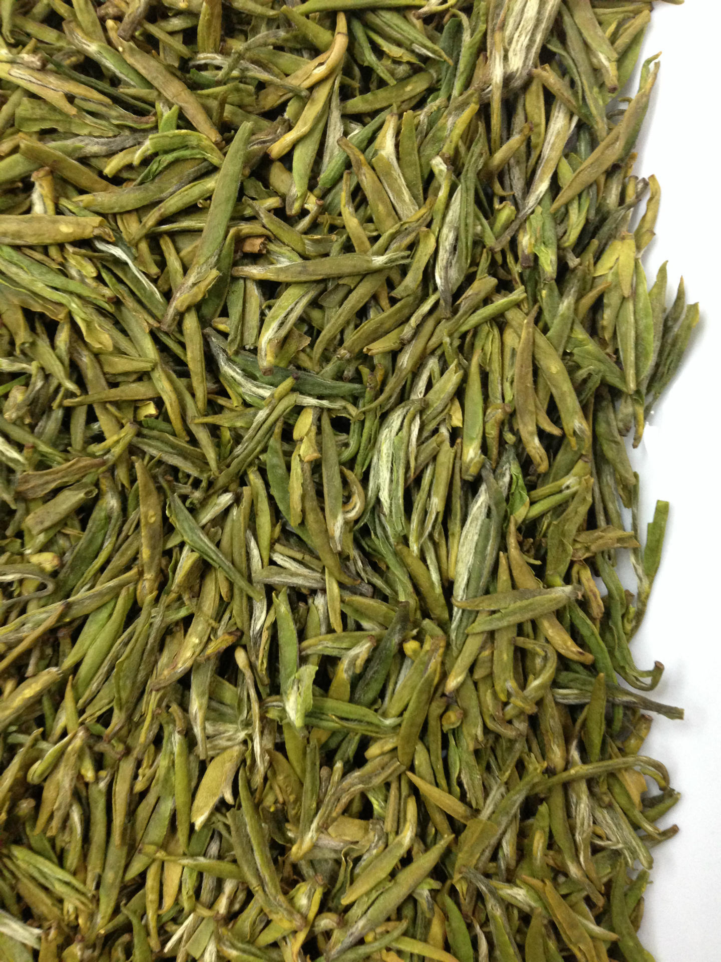 天台山云雾茶 a级 2013年厂家直销 大量供应天台山茶批发,零售