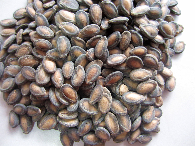 李氏兄弟傻子奶油西瓜子休闲食品一袋10斤