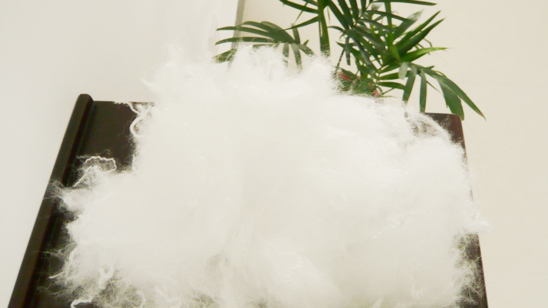 玉米纤维 聚乳酸纤维 环保可降解纤维