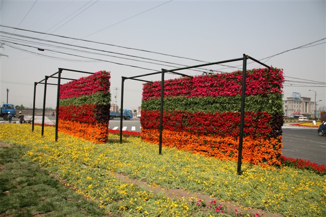 现货供应花盆 :长方形花盆/花墙花盆     在空旷的场地上