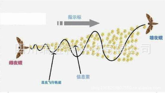 农业用昆虫性信息素引诱剂