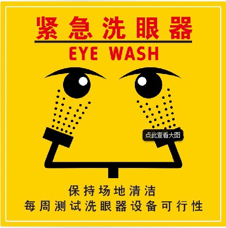 5升验厂洗眼器 5l便携式双口洗眼器 可开发票 送安全警示标签