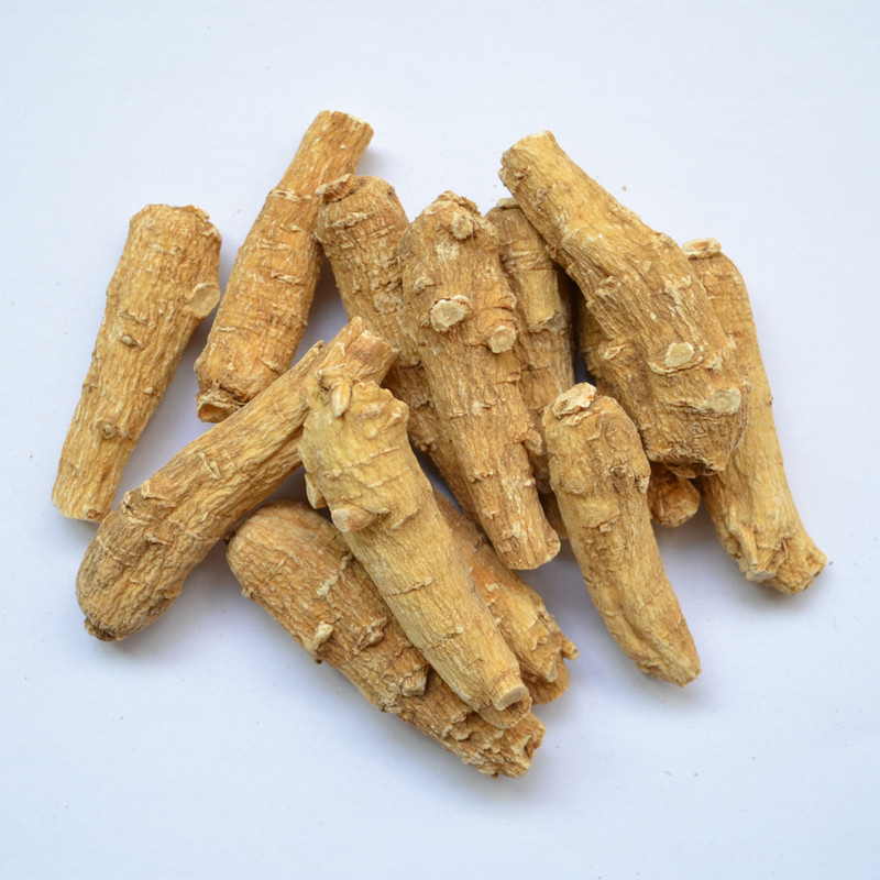 中药材批发 参茸 加拿大西洋参 花旗参 10克短枝