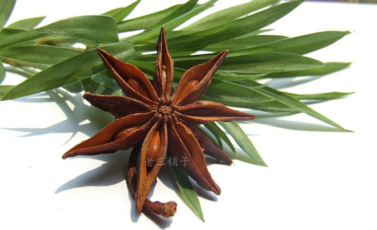 八角茴香 广西八角 水烫果 八角 香料 少籽少碎