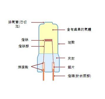 钨丝灯泡结构图片