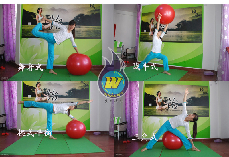 上海雯靖品牌 45cm瑜伽球体操球健身球大龙球 厂家直发 另有55/65