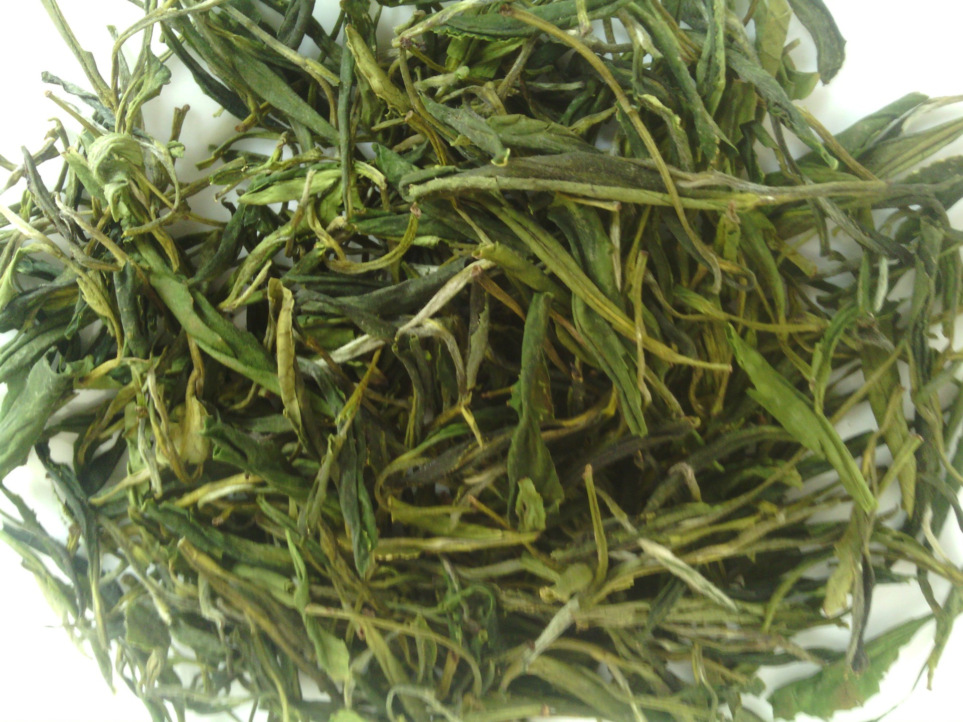 2014年 新茶上市 霍山黄芽 一级春茶 枪先订购 没货