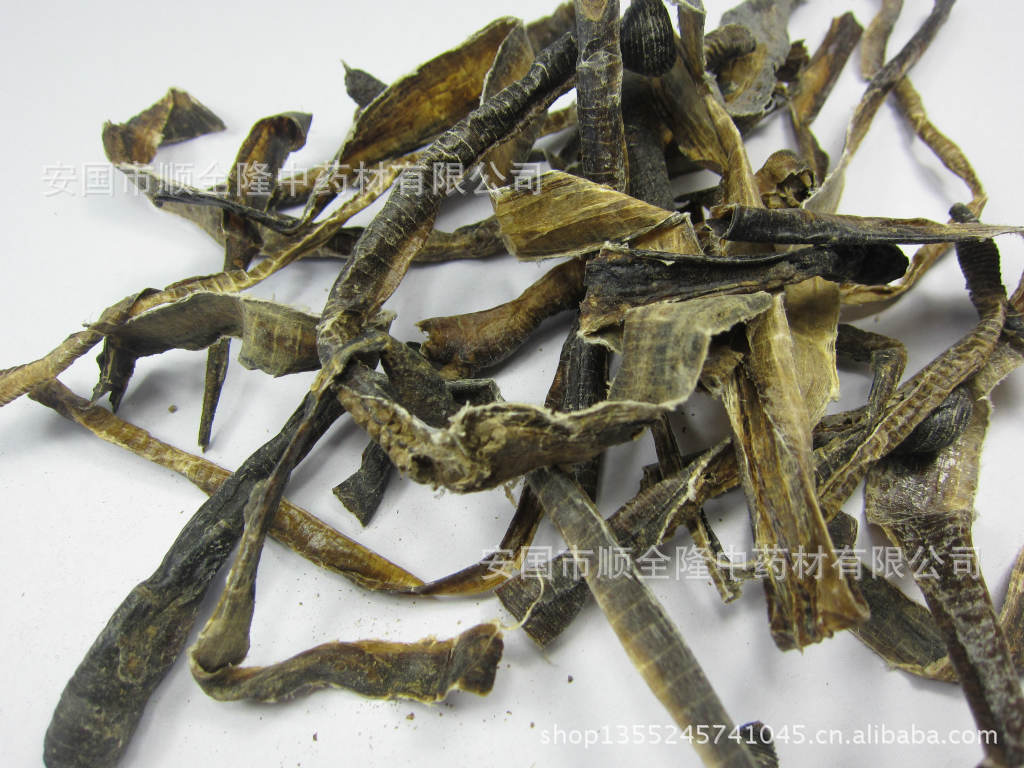 地龙地龙是什么样的神奇宝贝暴地龙2