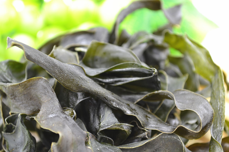 威宝 特级烘干海带片 烘干海带块 海带条 威海特产 荣成海带 50g图片