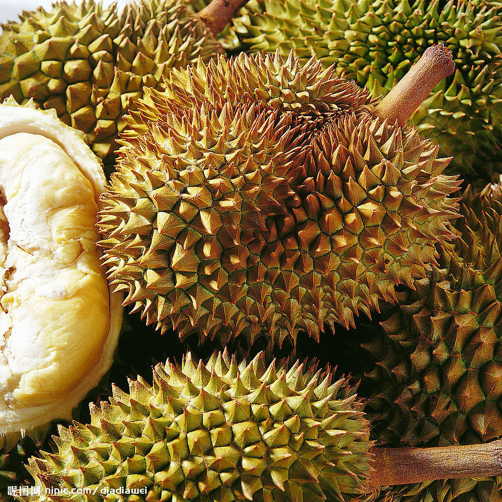 森冉生物网络热销榴莲提取物