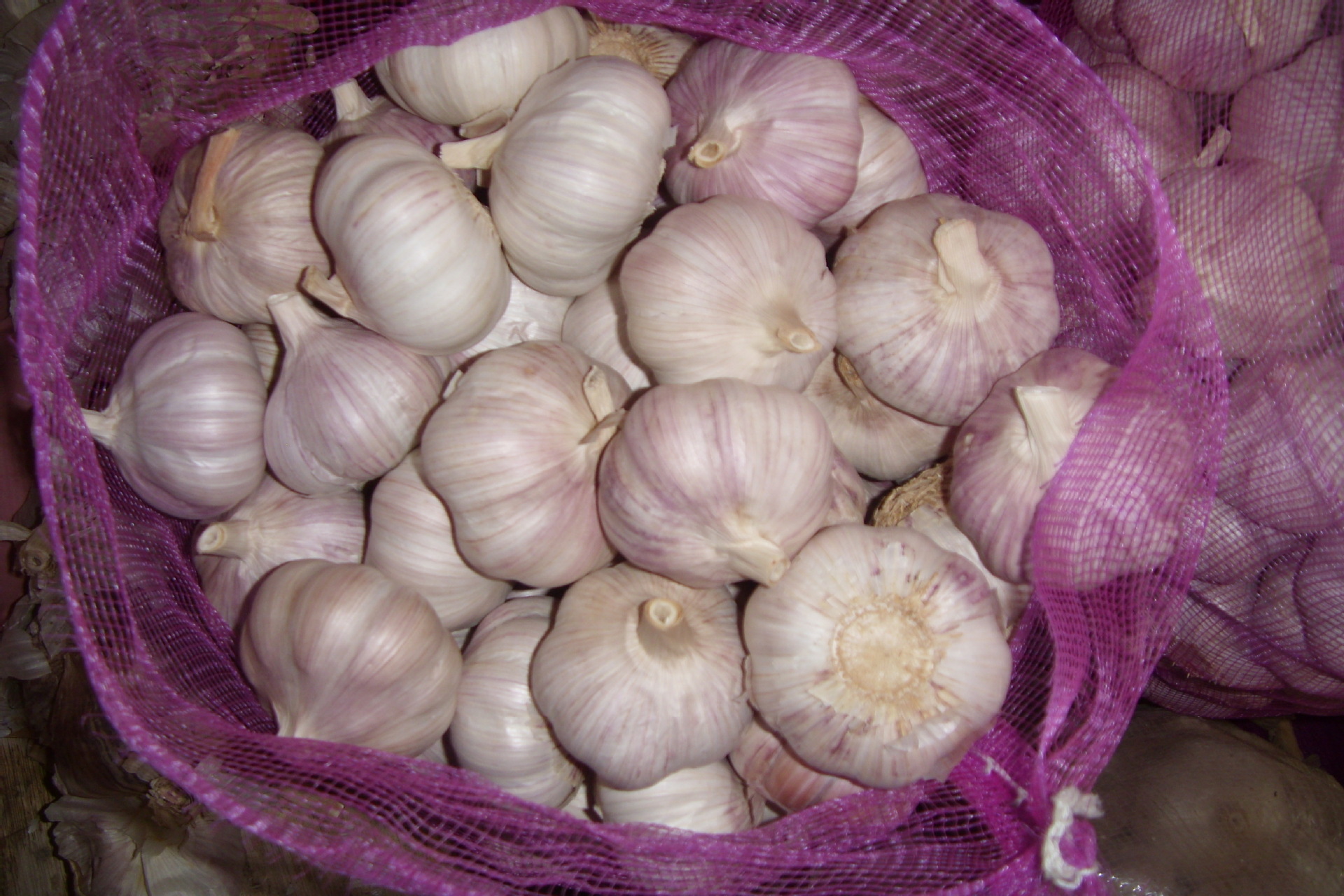 厂家直销 出口加工包装大蒜 金乡纯白大蒜 普白大蒜 出口标准