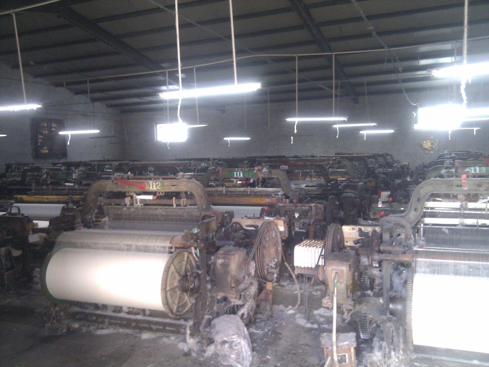 转让中纺产1511-44有梭织布机 64台 活机