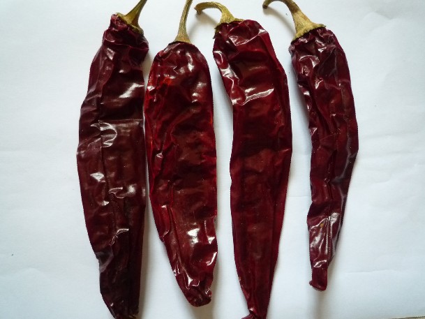 厂家大量供应优质甜椒粉(色价180)