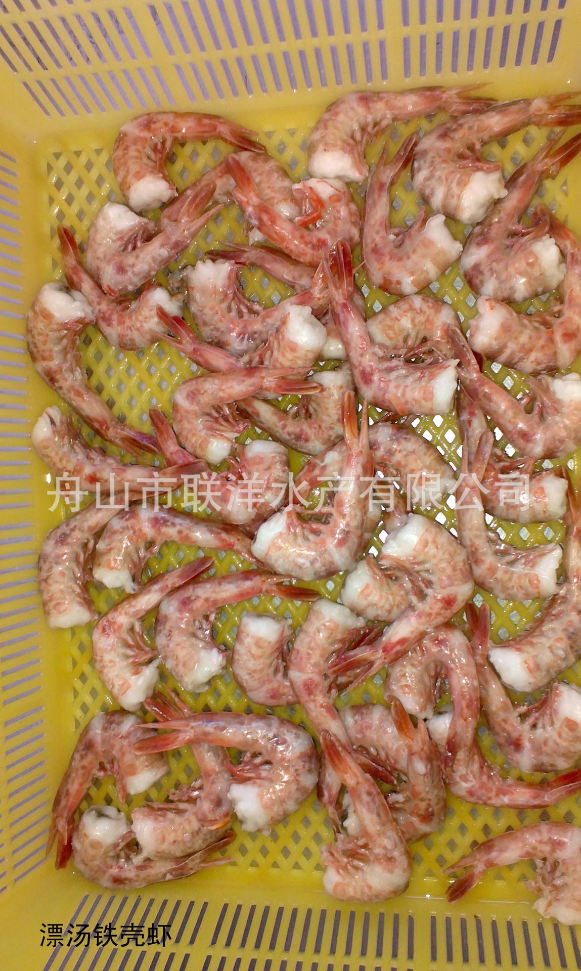 舟山野生去头铁壳虾,舟山海产品