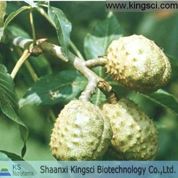 陕西西安纯天然娑罗果提取物 七叶皂甙 20% 40% 98%价格 - 中国供应商