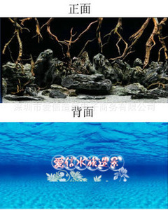 灵动之水：探寻个性化的水族箱定制艺术