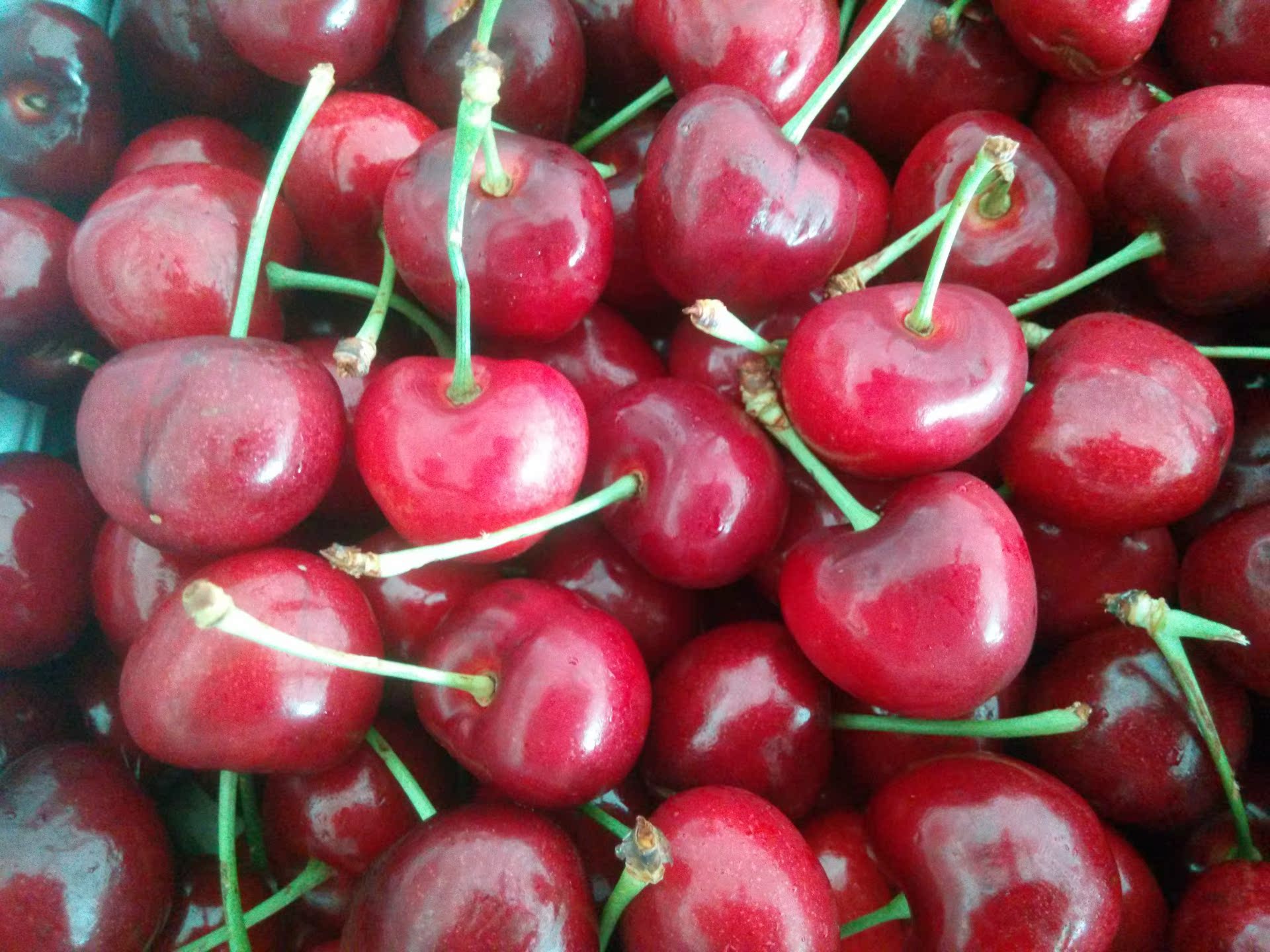 进口新鲜水果 进口美国/智利车厘子樱桃 1件起批