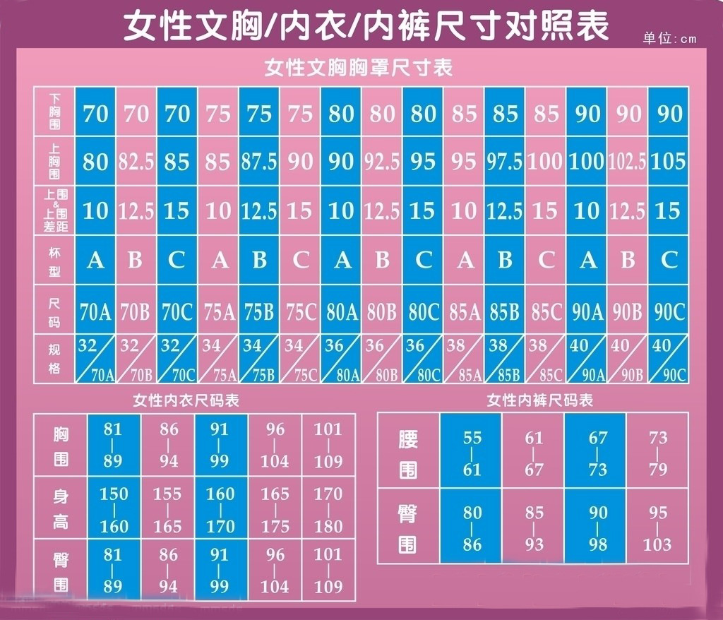文胸尺码对照表 中国图片