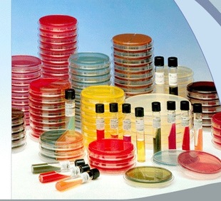 oxoid mh 琼脂平板 培养基 po0152a