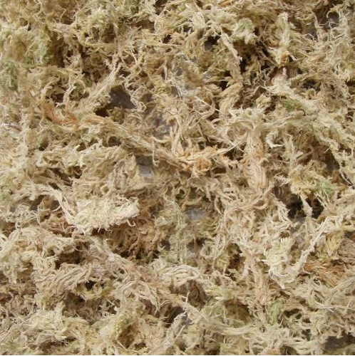 小袋苔藓微景观水苔 国产微景观多肉植物干水苔 迷你植物栽培基质