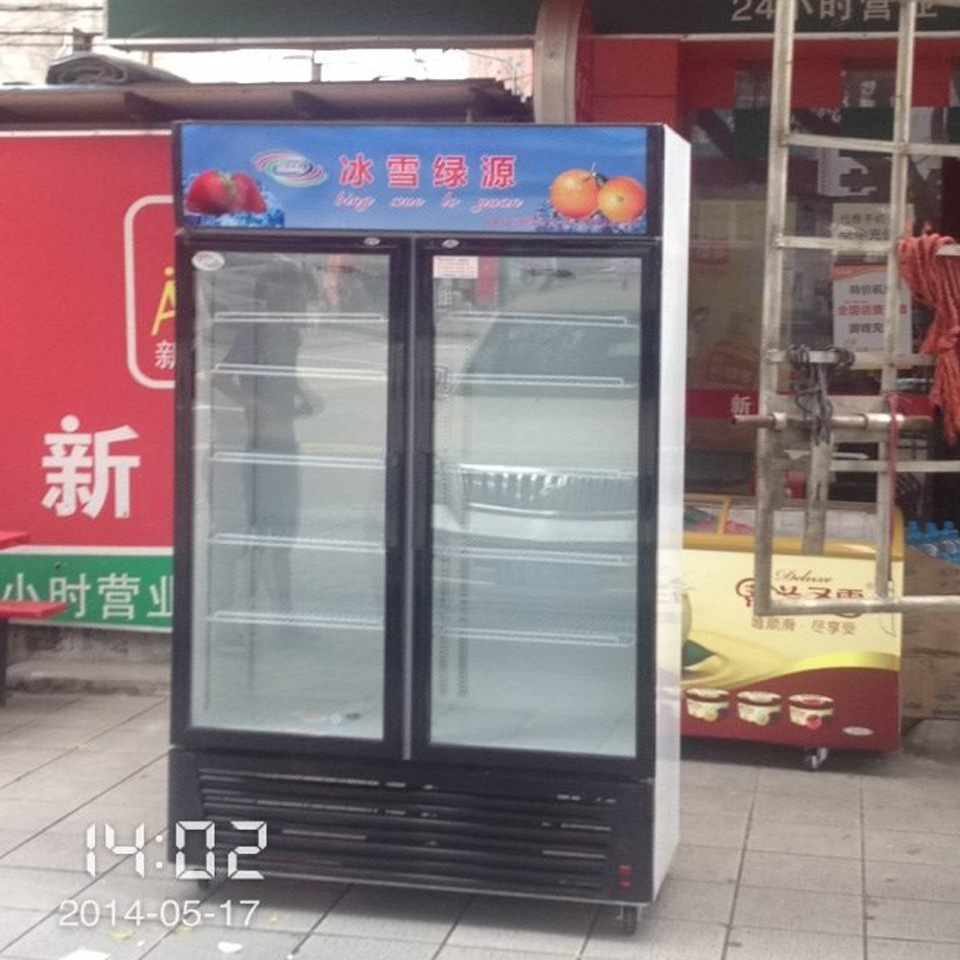 深圳冰雪 超市立式展示柜 便利店饮料冷藏柜 蔬菜水果保鲜柜2门568升